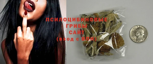 прущий лед Гусиноозёрск