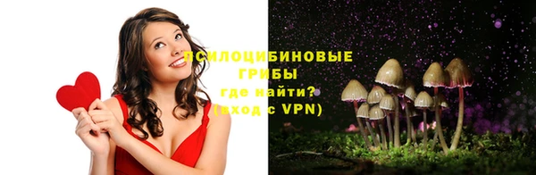 твердый Гусь-Хрустальный