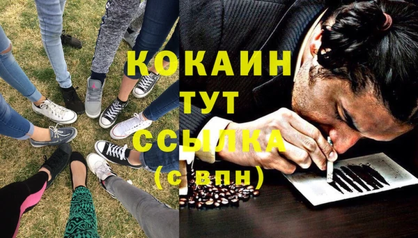 твердый Гусь-Хрустальный