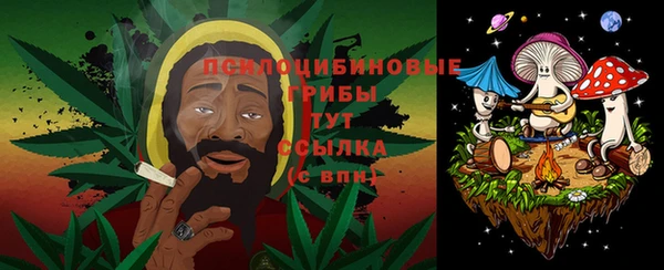 твердый Гусь-Хрустальный