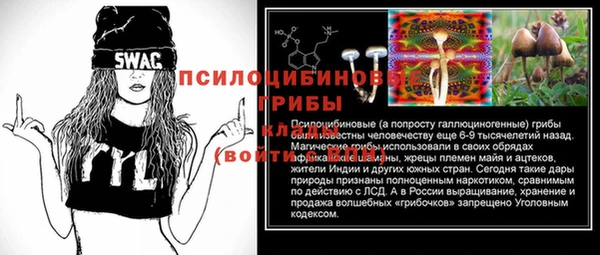 mix Гусев